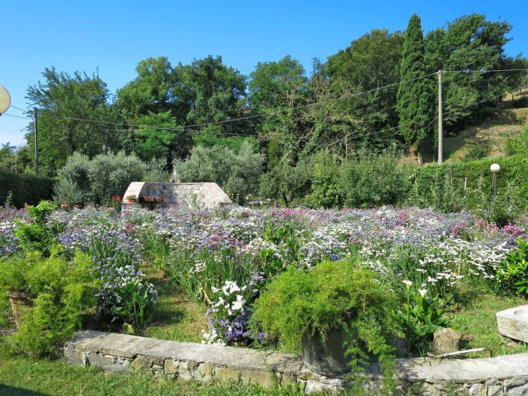 foto31