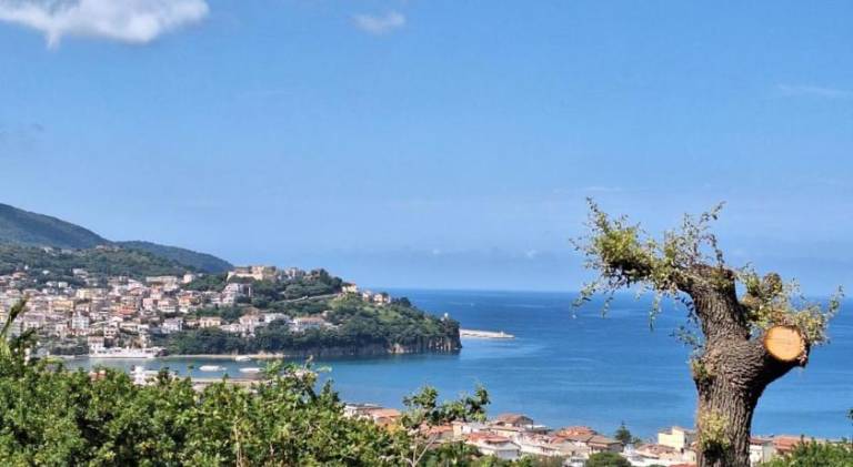 Holiday apartment with garden & patio in Agropoli