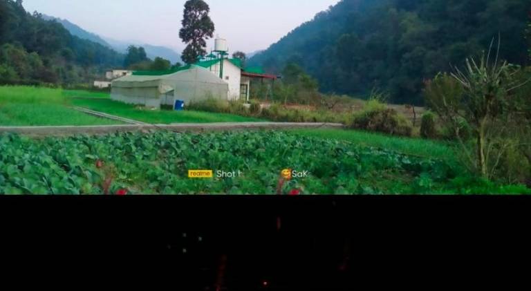 foto5