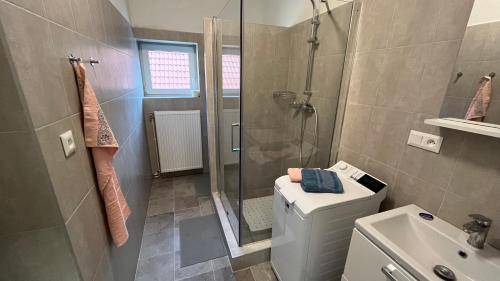 Apartmán Stará Myjava