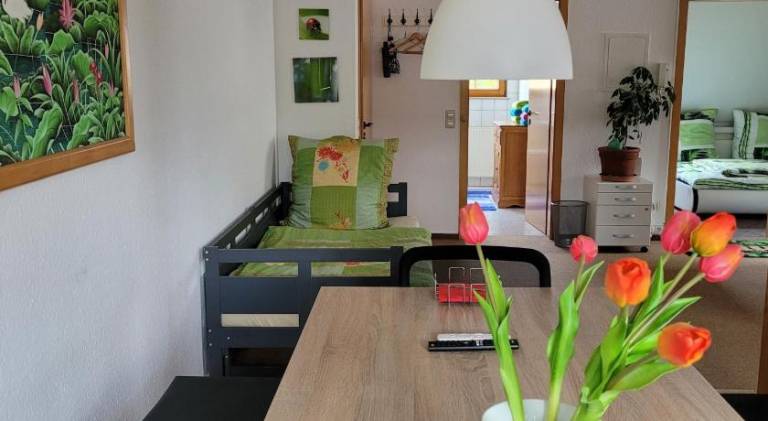 Apartment | Dogs allowed in Donaueschingen