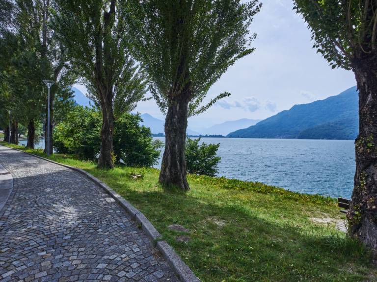 foto20