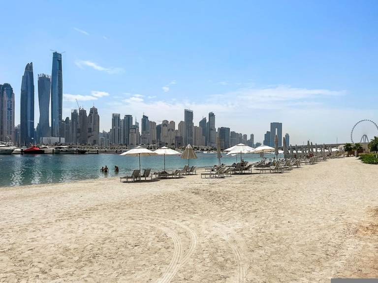 Apartment  Dubai Harbour