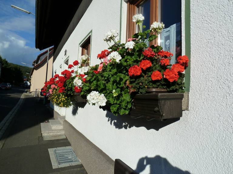 foto1