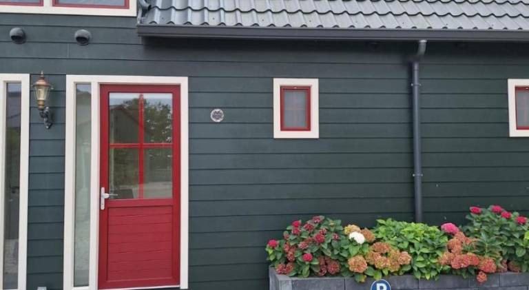 foto11