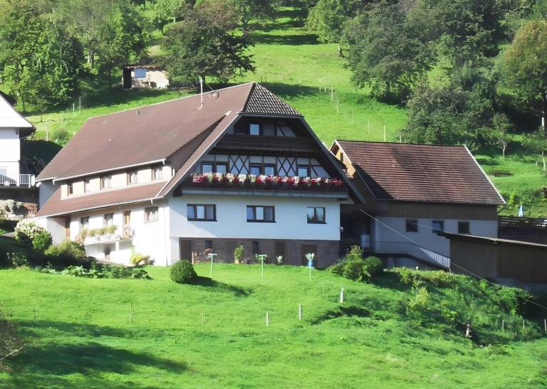 Apartment  Bad Peterstal-Griesbach