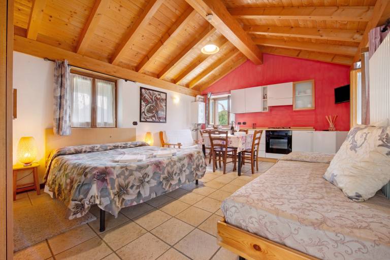 Studio 'La Fonte Di Mariella' with mountain view, wellness area and Wi-Fi in Gravedona