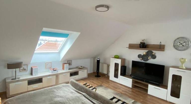 Wonderful rental apartment | Dogs allowed in Halle (Saale)
