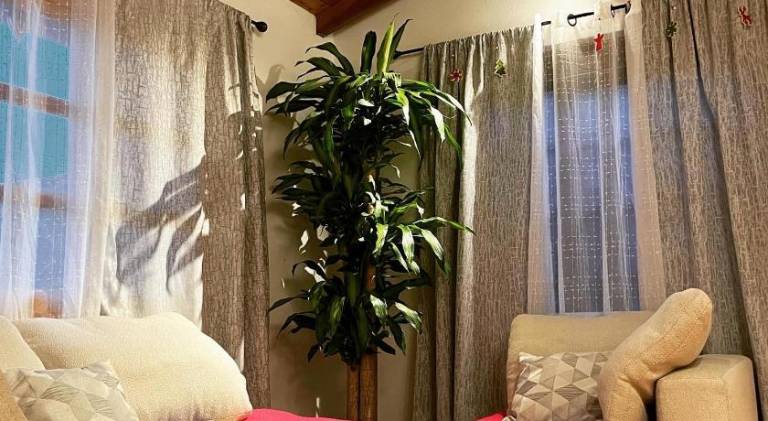 foto34
