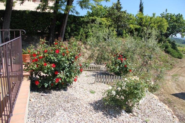 Privatzimmer San Gimignano