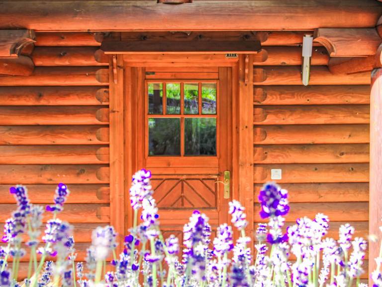 Vacation home with yard, terrace & barbeque | Mountain view — photo 5