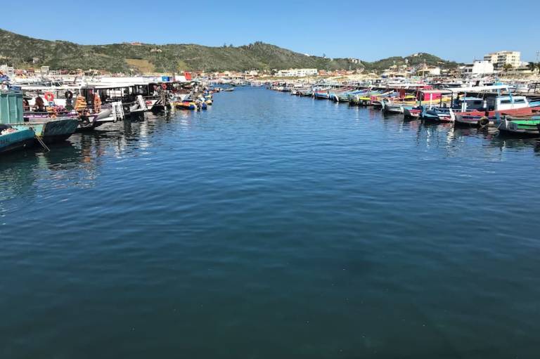 foto19