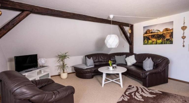Beautiful rental apartment with patio | Pets are welcome in Scheidegg