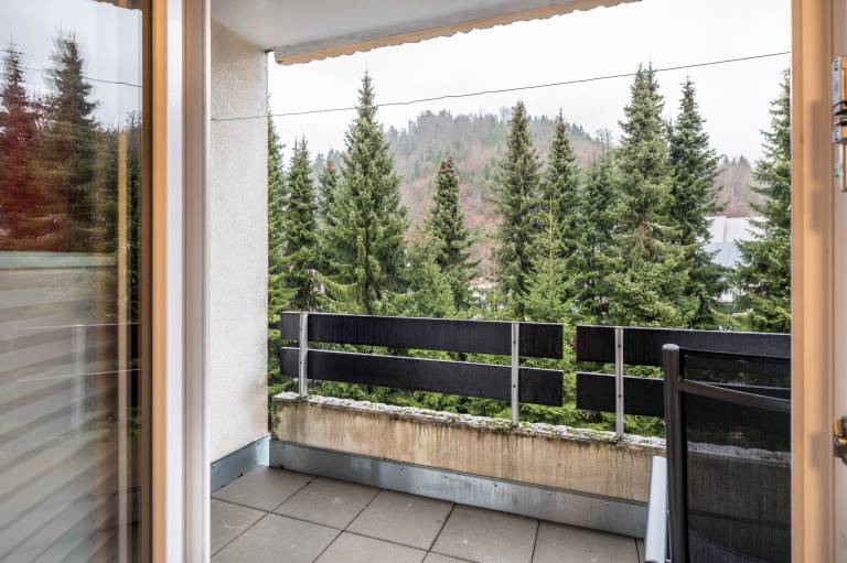 Studio Apartment 'Ferienwohnung mit Charme II' with Private Terrace, Balcony and Wi-Fi in Todtmoos