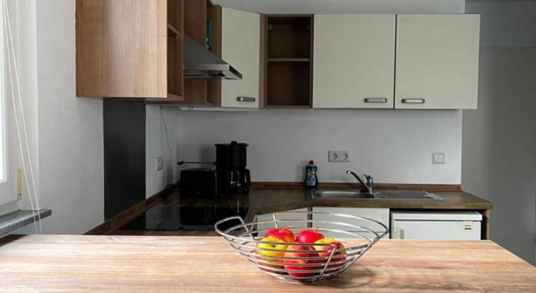 Pleasant apartment | Pets are welcome — photo 4