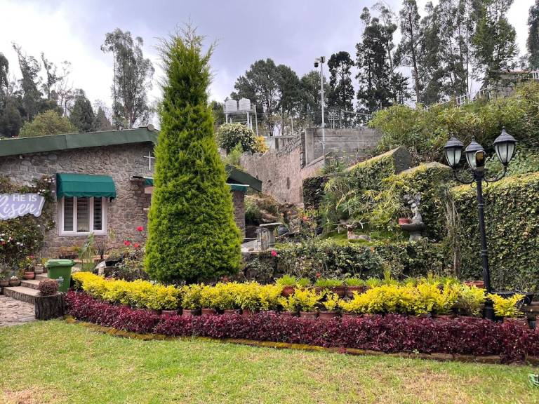 Luxury 3BHK Private Homestay (Families only) — photo 5