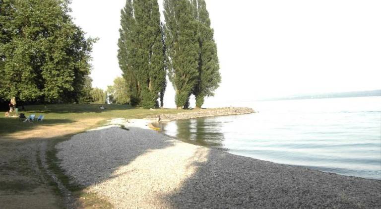 foto36