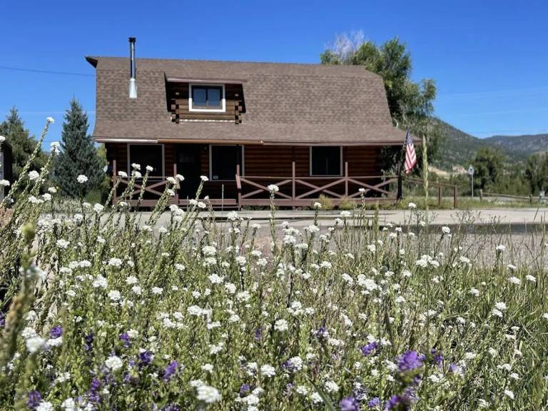 Cabin  South Fork