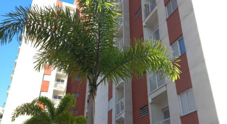 Rental apartment with garden & pool — photo 5