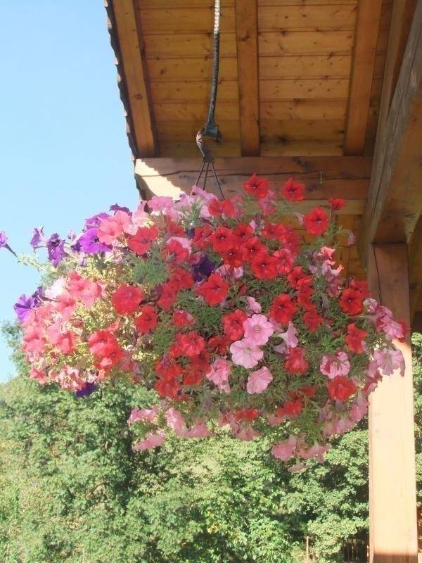 foto24