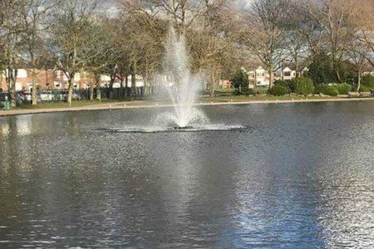 foto16