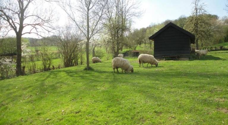Appartement  Slenaken
