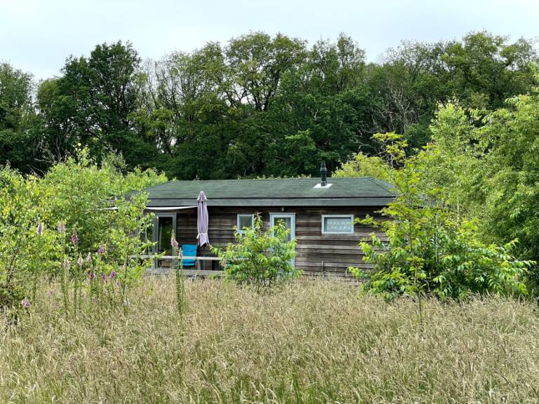 DG469 Ferienhaus im Dwingeloo