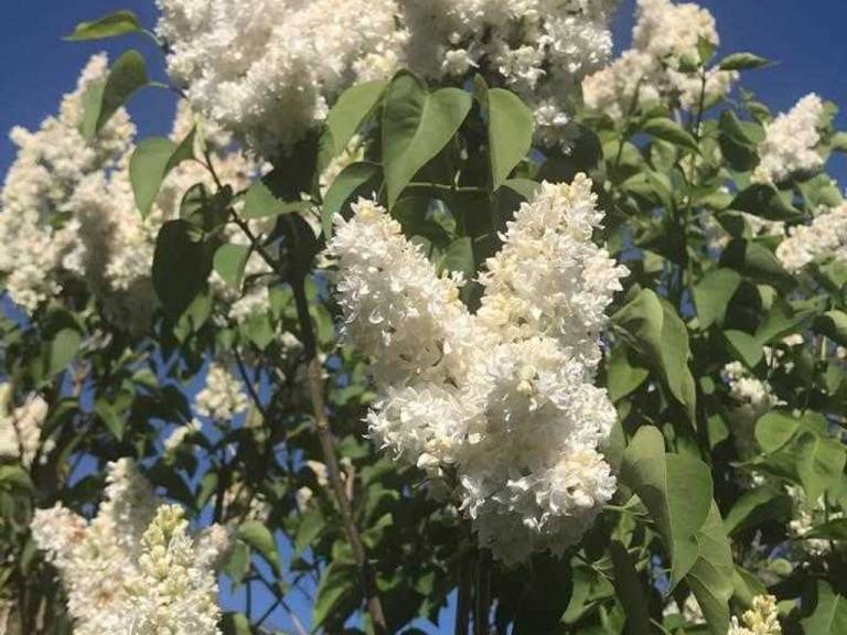 foto22