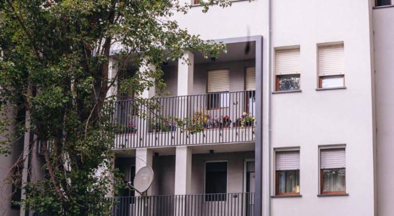 Nice holiday apartment | Dogs allowed — photo 4