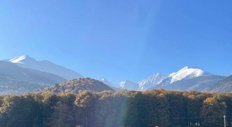 Pensiunea Panoramic — photo 4