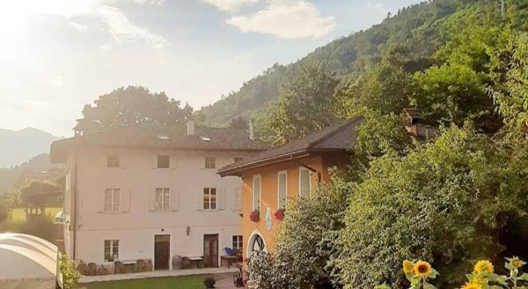 Agritur Cantina Romanese — photo 4