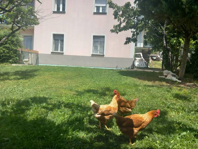 foto29