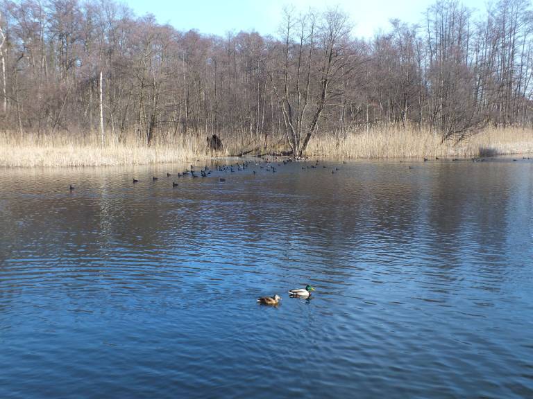 Ferienwohnung Fürstenberg/Havel