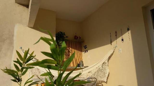 foto8
