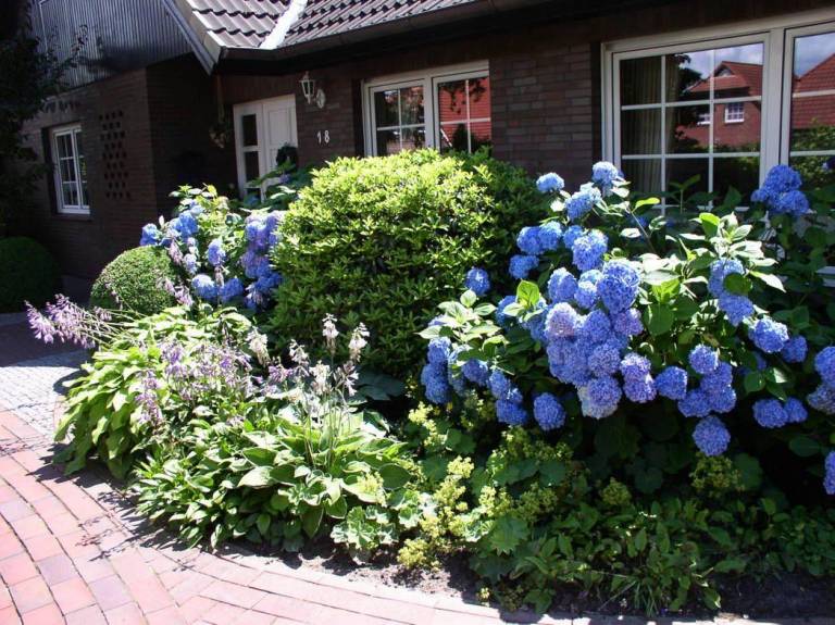 foto27