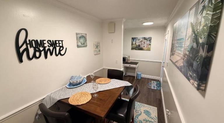 The little Manatee Apartment — photo 4