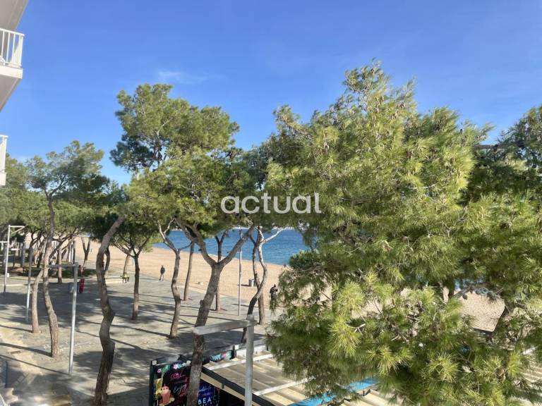 Charming rental apartment | Close to the beach | Dogs allowed — photo 2