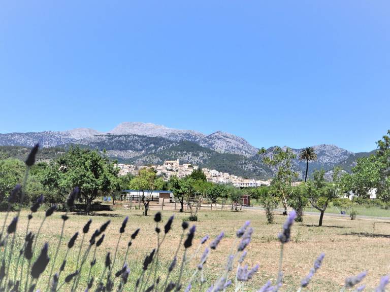 foto43