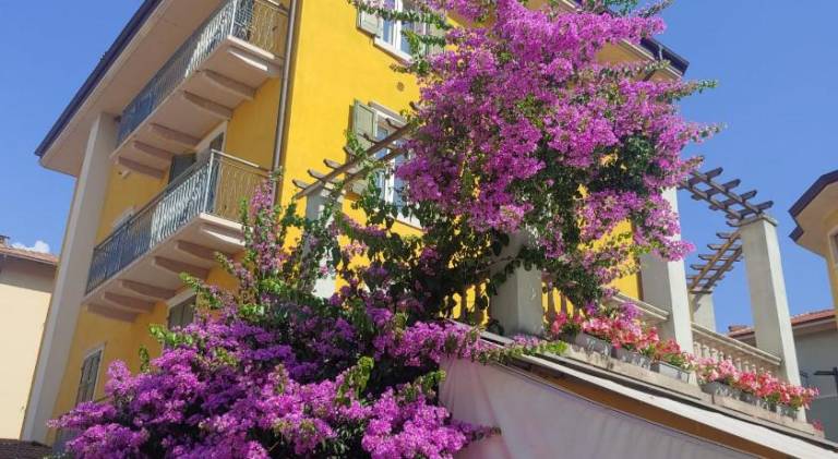 Holiday apartment with 1 room for 3 persons — photo 5