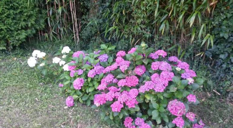 foto47