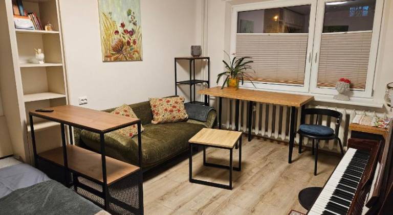Rental apartment | Pets allowed in Vilnius