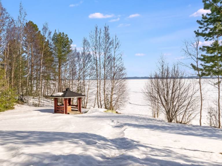 House | Nature view — photo 2