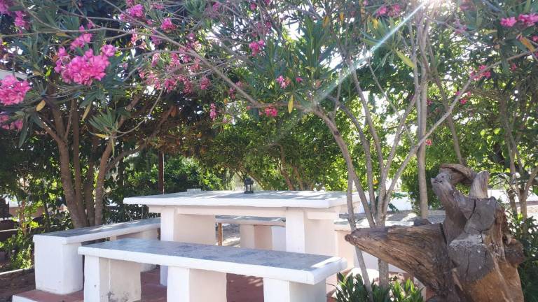 Room 'Lareira' with Shared Pool, Wi-Fi and Air Conditioning — photo 3