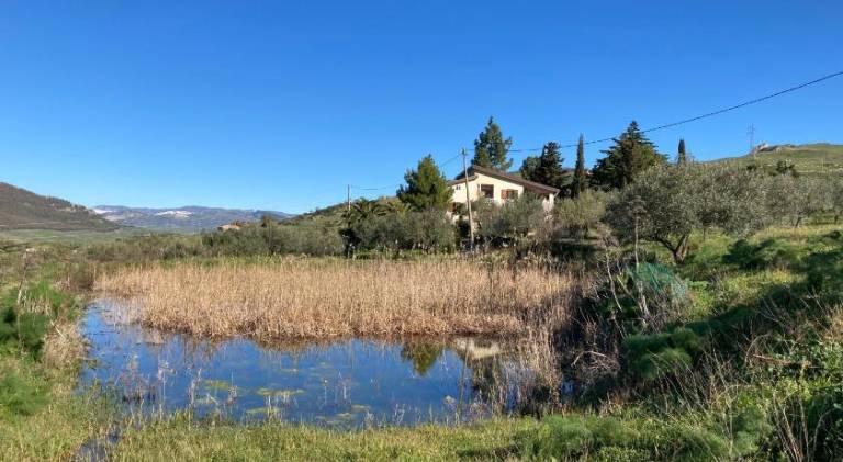 La Casa Delle Olive in Enna