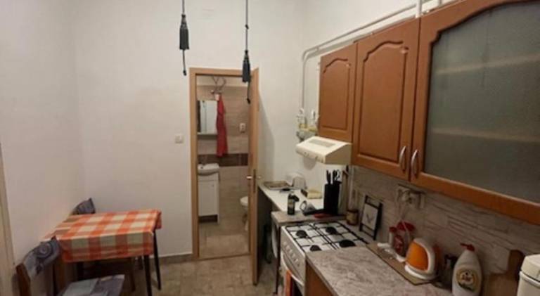 Rental apartment with yard — photo 4