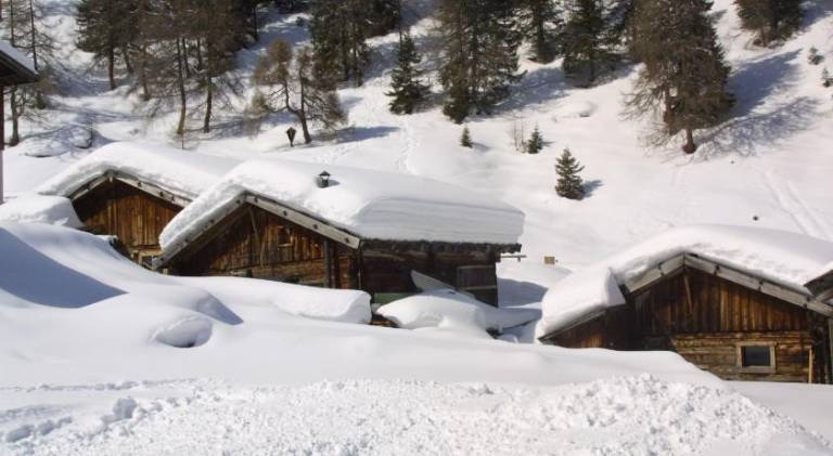 Die Schlickeralm — photo 3