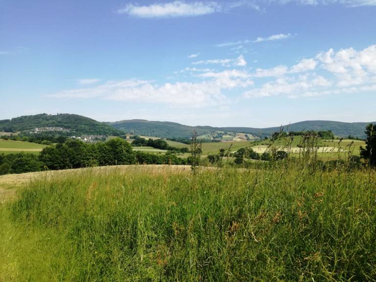 foto12