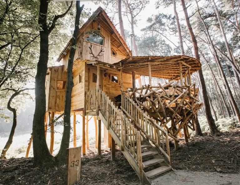 Warredal s most beautiful treehouse
