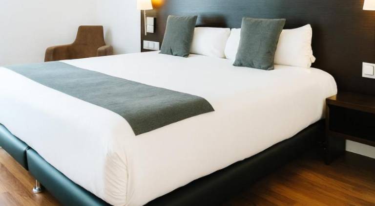 VTZ Hotel Plaza Espana — photo 2