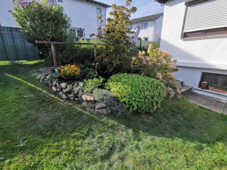 foto14